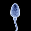 Coin image for 7Sgu96r9oB5BZcBVPq6RXkVAv6zMLZzVsnaF9QvEpump
