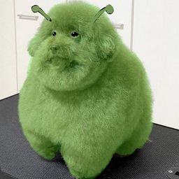 Coin image for 7UgwdePFS6YUtbnWMH4ndaDRhFfBiFjFhVjoEGHkpump