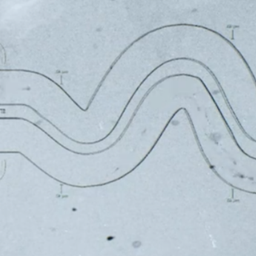 Coin image for 7Vbu8EefzemcZDAP3NcJjd3NE9eKVkRUdepmfdtWpump