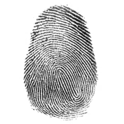 Coin image for 7VhrwssaDBQBScMmXxp5xHYgPLGJc1nhQGfZf55Mpump
