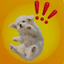 Coin image for 7ViXV5H7AbReQ3ZpxoT5SEnpoiCKQKcu9wot2df3vN27