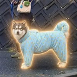 Coin image for 7VrXpnEyqwbxedbSLuWiqBUAzX4PeDgea5NK5Zsrpump