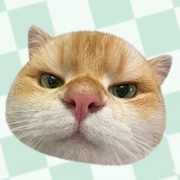 Coin image for 7VtLn5YftfZWmRAaSGHmTqMYMzxSSkXGu2ixdnD3pump