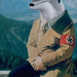 Coin image for 7WG4aJ5hQafCuetkomVPtVYLRKEHT9NsQ5bAzQMApump