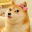 Coin image for 7XbBDS3PhsAHLf6Kinti4jDovyEKAn7SXcJftdMapump