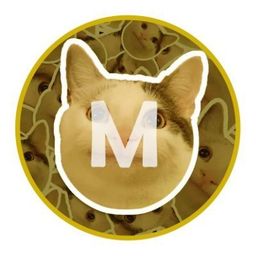 Coin image for 7Y9Yct3Fn5AEpyVfrSUYCWSCTuunWT7E5cLbvGYJpump