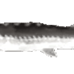 Coin image for 7axMLHjPwAszrkSthTSHTreFwiuWE8HAJrFLSn7Jpump