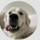 Coin image for 7bR3FwWKBvAHXfxUbw9MLiirAynCK8nrgCDMegbnpump