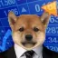 Coin image for 7br98n1VVESqoYVHp37hDJbZot4PvZZGNzXRUj53pump