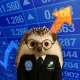 Coin image for 7cfqWK6NpjfNtitjt5QTaZo2ikKTZQcFzEznE2qQpump