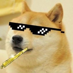 Coin image for 7d5ew8EvebR5Z6pvbryc8MXvQKWcvesNAZ55xUt2pump