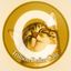 Coin image for 7drY1y7RqGoHTYmvoYRikFDgJVcQrH6KrGcZr6VSoyy5