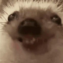 Coin image for 7eFYS4gvKR9CxsXsYx9iM9RFFzykNfXCCqvmsv2wpump