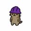 Coin image for 7eTQEFSSxvNPUZRPmv1ttu6n3sG1wJNh6hHQFQrQJyxC