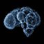 Coin image for 7fFwmbDTbdrs3PeU8ntpa5FbvgmZMbBMPN3msCbopump