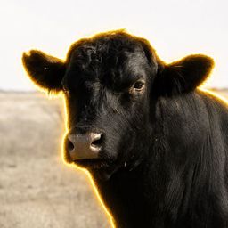 Coin image for 7gZPPUfZziDHEFeW1LQhgkWDTnnuCXDHcUsssMm5pump