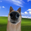 Coin image for 7hDFJbZRVCGXcZhX5XTWHZvpxoGUoqCcxTba7iPQpump