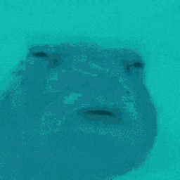 Coin image for 7igWq3Ezev5sQeDytiYXecTYMEmZjvAWYYNSmtaGpump