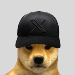 Coin image for 7kLPyhNW5QTAKcaBQMBxE2nkPrebHbewp28ff8zJpump
