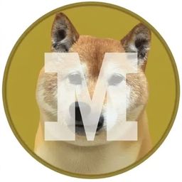 Coin image for 7kXMnxoQFhVN5hayRN8pA5t2EtSSwKkiUpgHGa8spump