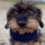 Coin image for 7kgDipXPCJYUfZCRHVdLaehsA6znq2DrfP3G5PUppump