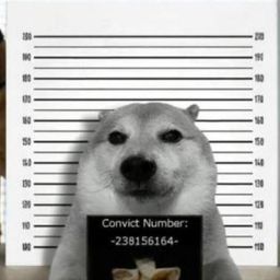 Coin image for 7kmitiSyARd8ScvgnQfe1ED6J9jQyFmTnqzdKuXKpump