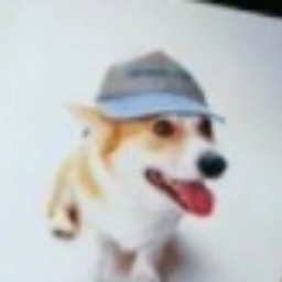 Coin image for 7knwtGKCvaQSozbkrH2jDymf6d4arsXRGHRTyAXUpump