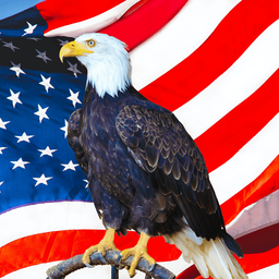 Coin image for 7m25dgabXCRmPHmERd5LHuGcTwMR2DWeLcEwxSBXpump
