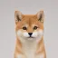 Coin image for 7m6GiYZzQyxAsyt1hq9xWGXBXJSrv8XhHn7aD2iTpump