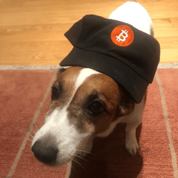 Coin image for 7mFZruzk1i6F5ZXNh7cuAwvkdkM2egXMdhGJCRMRpump