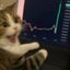 Coin image for 7mPuKf4tc8NnwmtJ4RbfZfzyrm21RnBdbJz28bLupump