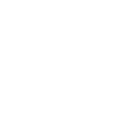 Coin image for 7oWYLmTC7v3hFNeiscVqKxwbnqBk5hfmEdZoqne9pump