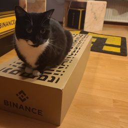Coin image for 7owGiGsFSLg7W5wVX1khcZdRAtXoMJPbLzMMXNXvvgsm