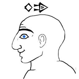 Coin image for 7qcW8JS4Kty5ds86xqXbTiQWe3BHPyWrqYYF6ojapump