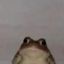 Coin image for 7rfQDn4agmFSomupRJdwFMSj3QtWghRLtCH5oXzGpump