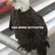 Coin image for 7sBD2tnUbfgRR1RhqdznJ3a9GNhxjLD6gB19jkUHpump