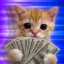 Coin image for 7uaMHJLR1RAUegd3teUWcBtL2HWCwRfBJFCb8No6pump