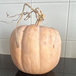 Pumpkin
