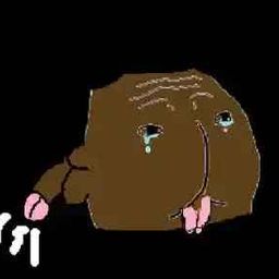 Coin image for 7vfDaiBMZP2ALVNb67KZeNt2BD3toAwHi9iQpBszpump