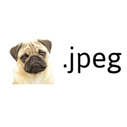 Coin image for 7vjpSD3b7j1fMaHmLcJ7AhbMKYyiGPhBJtyNmdqYpump