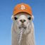 Coin image for 7wykQ43Yn4zCjXpL9HTU8YJjwXAEfRydWNthvRJopump