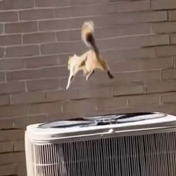 Coin image for 7xXe2HVMvDHXGSrcq1a5TStcwYnLyA6gfhMP1ZSpump