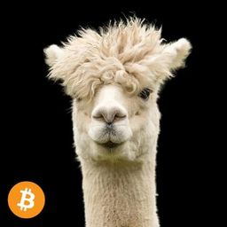 Coin image for 7y4SVB6ro1repX78jXYbBdcXYTcoa7o5vtZaHejcpump