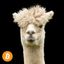 Coin image for 7y4SVB6ro1repX78jXYbBdcXYTcoa7o5vtZaHejcpump