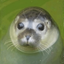 Coin image for 82uM3pAPfd6AL5J3maPETqvR2JRutSYtBHkHgCkbpump