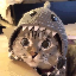 Coin image for 84YCuT3kGr6Z5FcsDFzRXAxVB3uN8PuwWbz5XFVpSneF