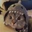 Coin image for 87F97Sj5n6CgE9xNSiHWWJzspc6hjWJCT9sbN7tCAoKV