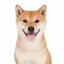 Coin image for 89dbdYfzNzPqDLEqZavXk51gSQnCyYG9GvFs4AXcuMup