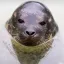 Coin image for 8ANuLCBLDA6DyHc1gbhLLwyY3RazqWNEoCrtXQNKXubT