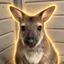 Coin image for 8AegGvxEViN44FiEHSYH4kB29mTqvNK7FVMtSKnipump